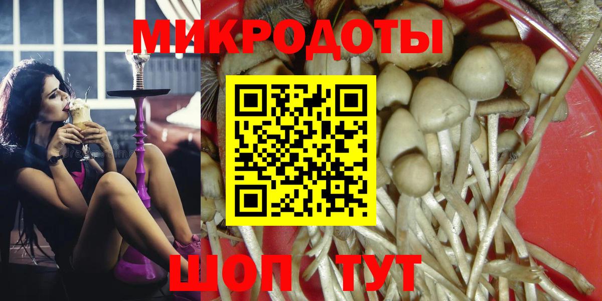 Тамбов  Псилоцибиновые грибы MAGIC MUSHROOMS  Вход с VPN 